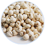 ���ݿ��Ρ��й����ٷ���վ