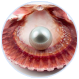 ���ݿ��Ρ��й����ٷ���վ